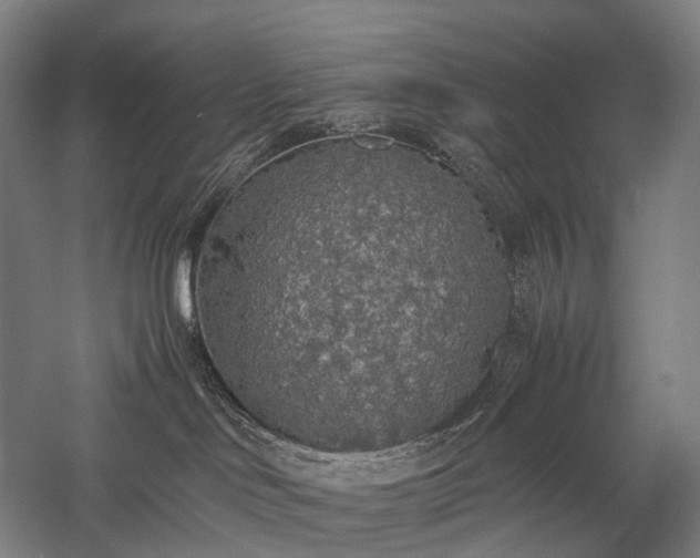 X0000058110046200509231037