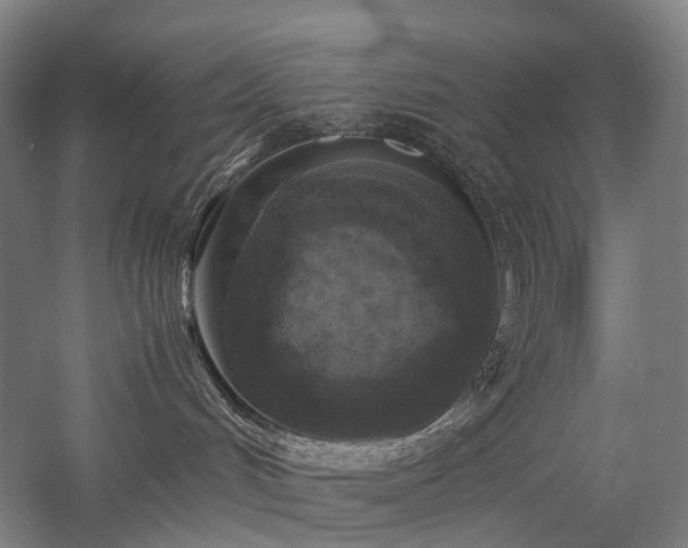 X0000058110048200509231037