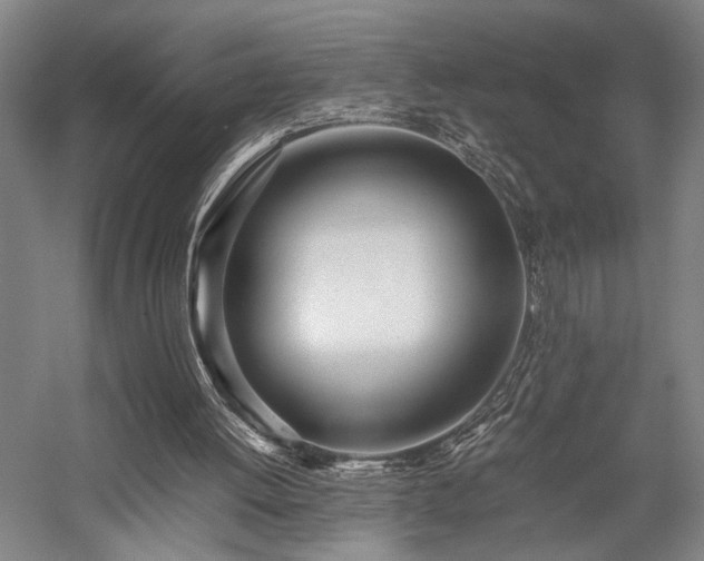 X0000058110052200509231037