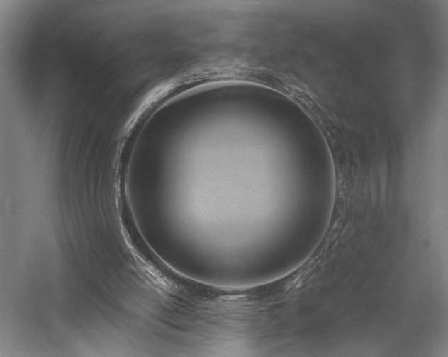 X0000058110054200509231037