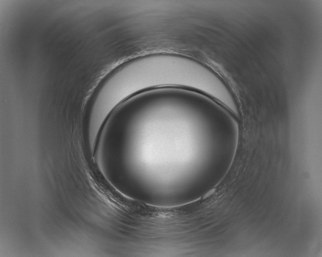 X0000058110060200509231037