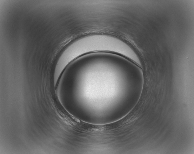 X0000058110068200509231037