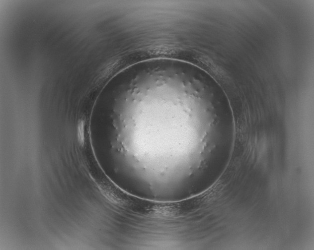 X0000058110070200509231037