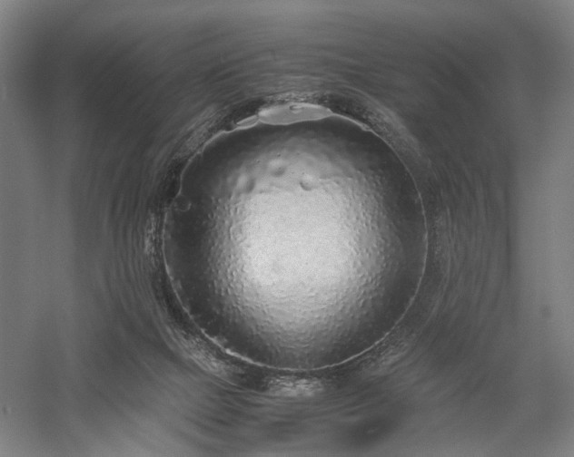 X0000058110073200509231037