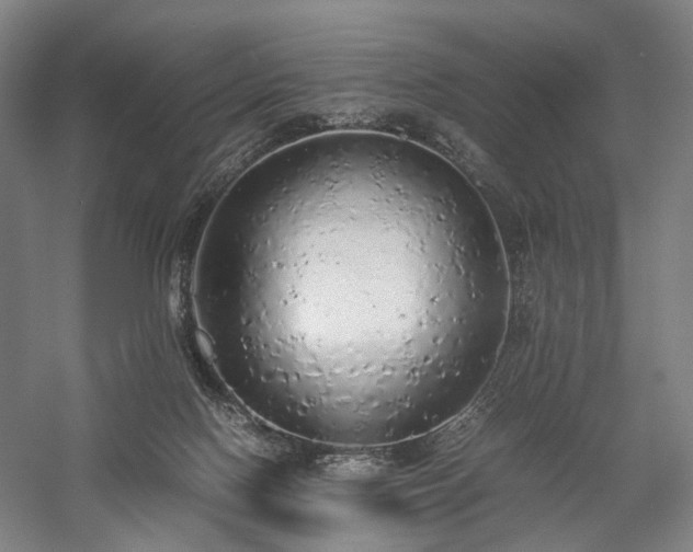 X0000058110074200509231037