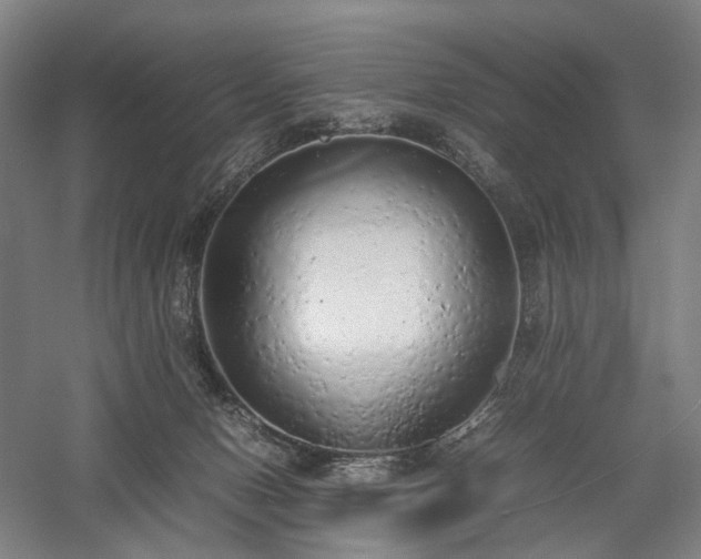 X0000058110078200509231037