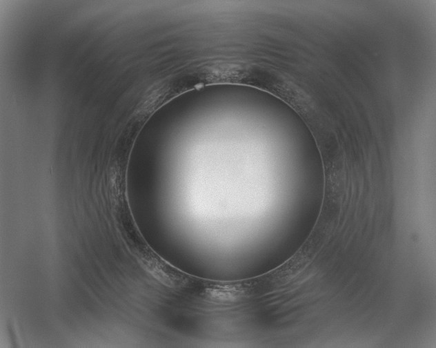X0000058110079200509231037