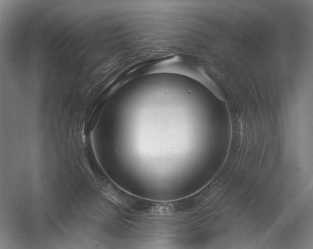 X0000058110080200509231037