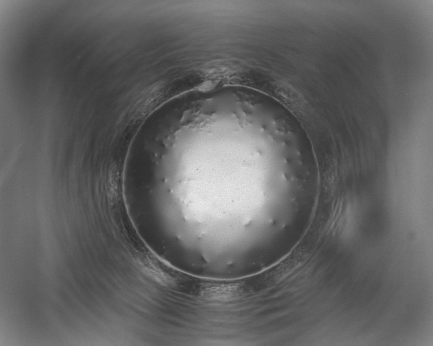 X0000058110081200509231037