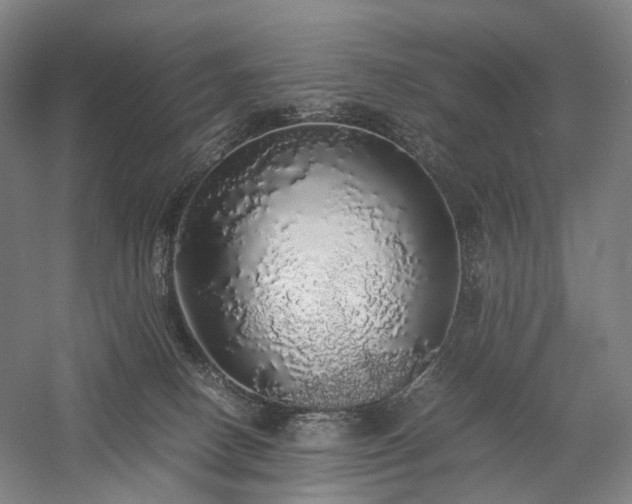 X0000058110082200509231037