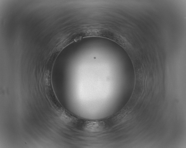 X0000058110083200509231037