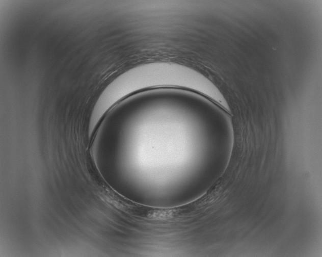 X0000058110084200509231037