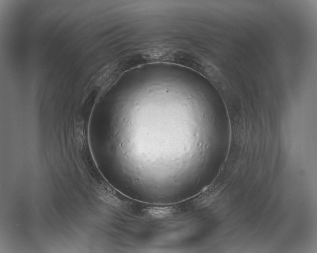X0000058110085200509231037