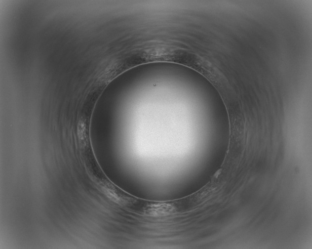 X0000058110087200509231037