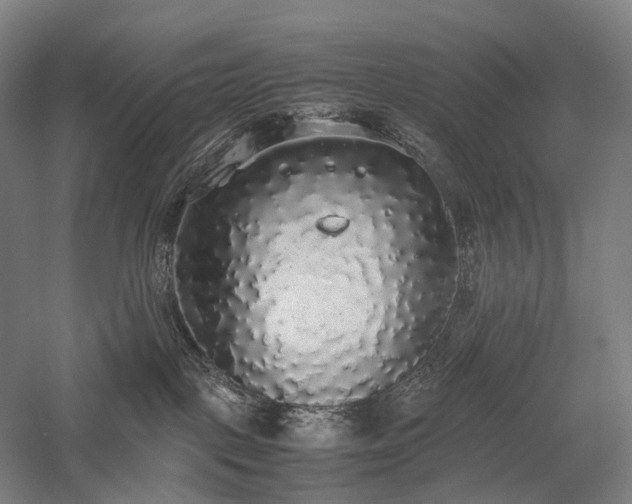 X0000058110093200509231037