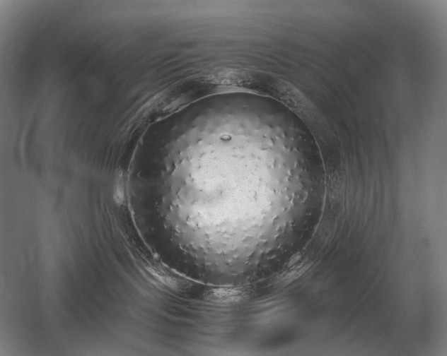 X0000058110095200509231037