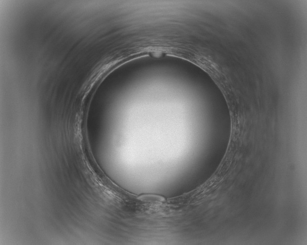 X0000058110098200509231036