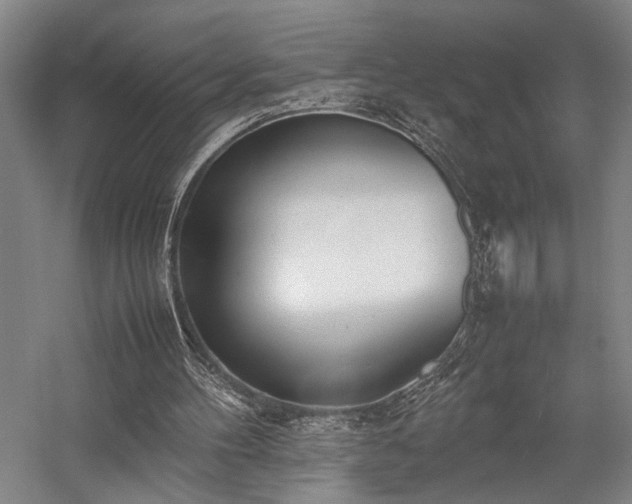 X0000058110100200509231036