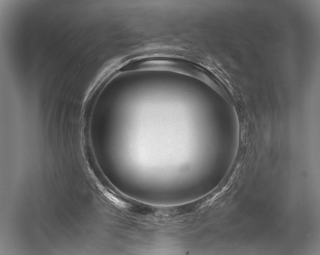 X0000058110101200509231036