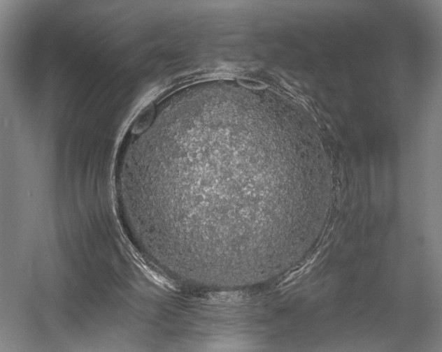 X0000058110102200509231036