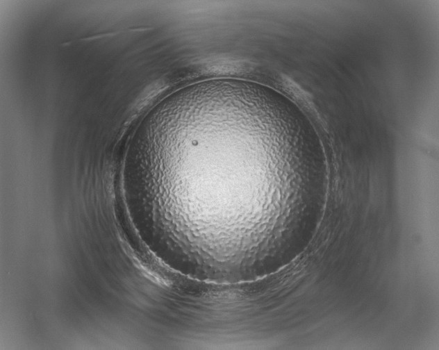 X0000058110106200509231036