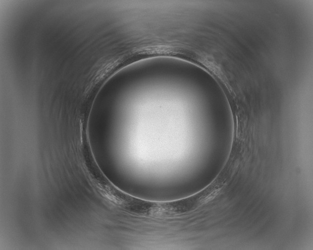 X0000058110109200509231036
