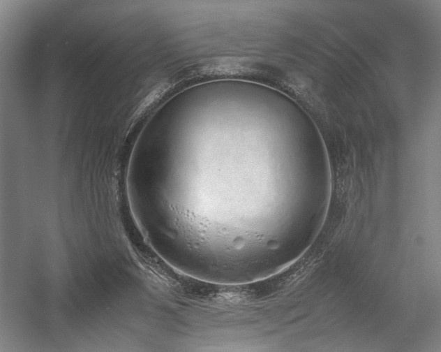 X0000058110111200509231036