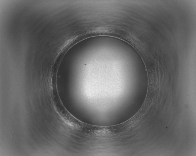 X0000058110112200509231036