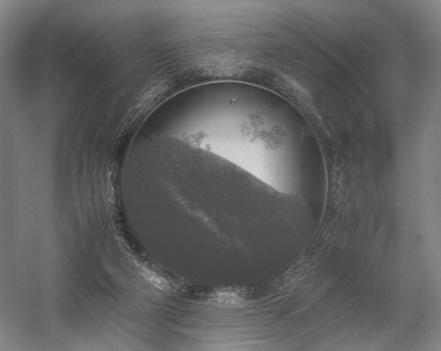 X0000058110114200509231036