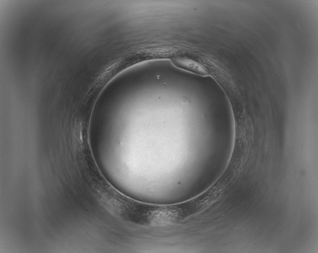 X0000058110115200509231036