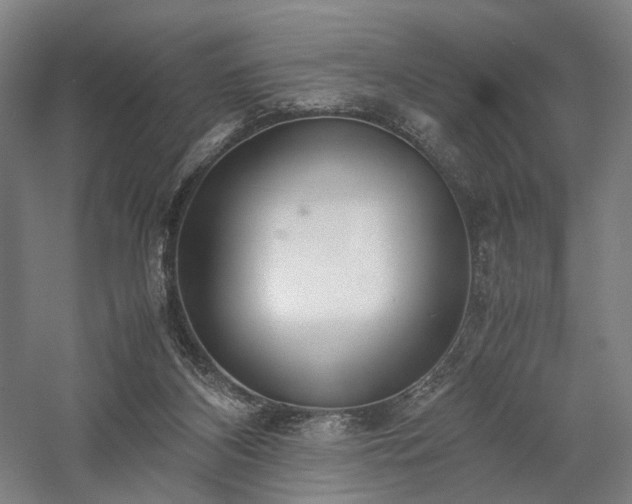 X0000058110116200509231036