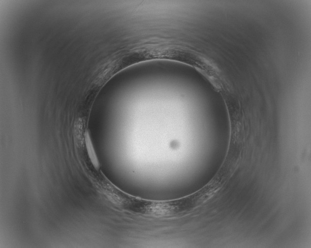 X0000058110121200509231036