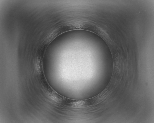 X0000058110122200509231036