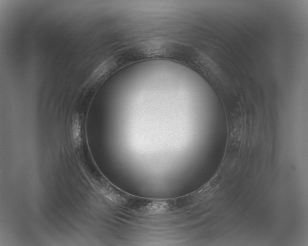 X0000058110124200509231036