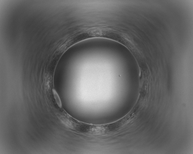 X0000058110125200509231036