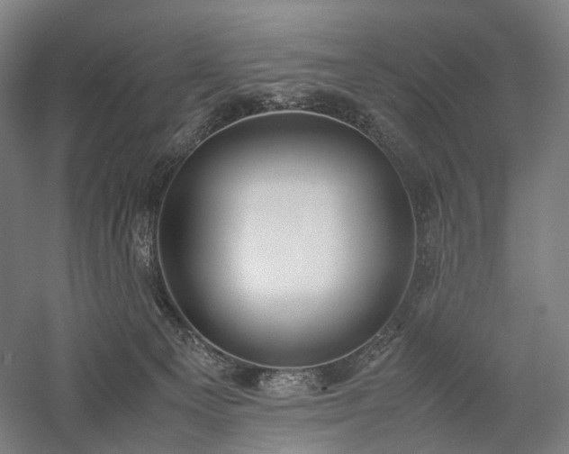 X0000058110129200509231036
