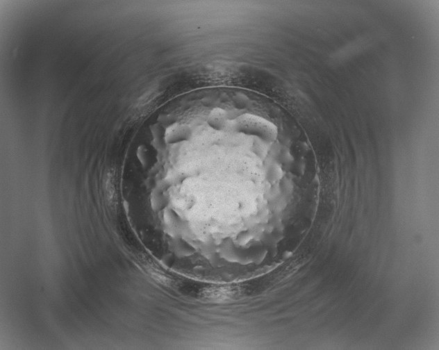 X0000058110131200509231036