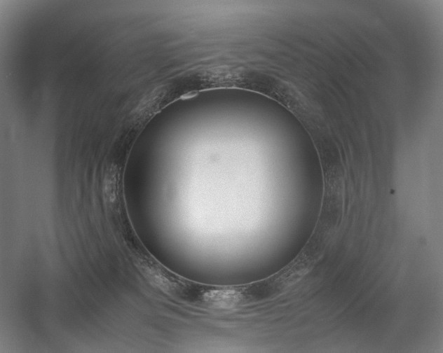X0000058110133200509231036