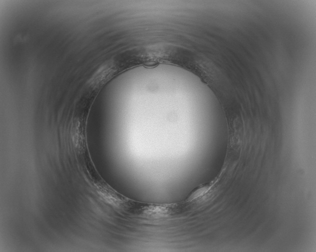 X0000058110140200509231036