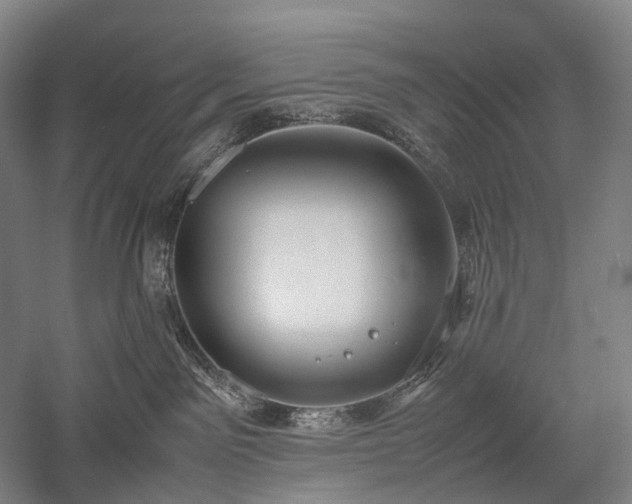 X0000058110141200509231036