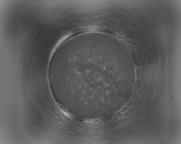 X0000058110147200509231035