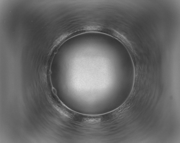 X0000058110155200509231035