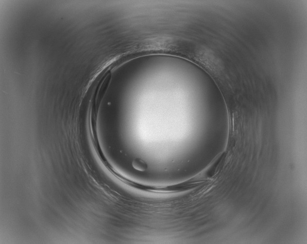 X0000058110156200509231035