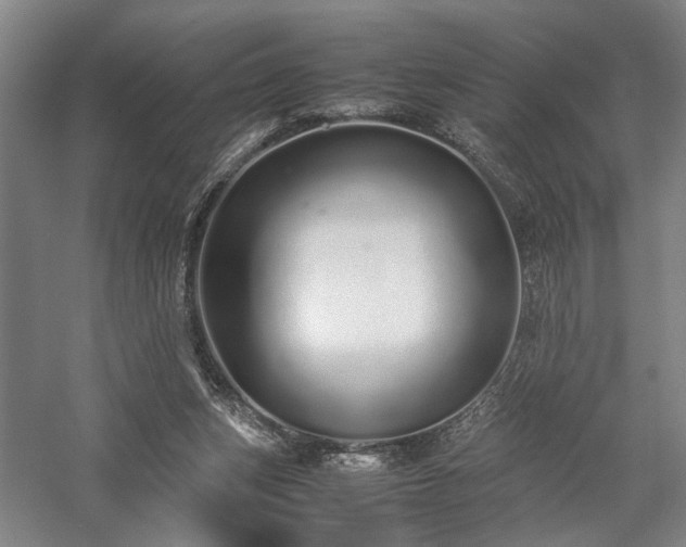 X0000058110159200509231035