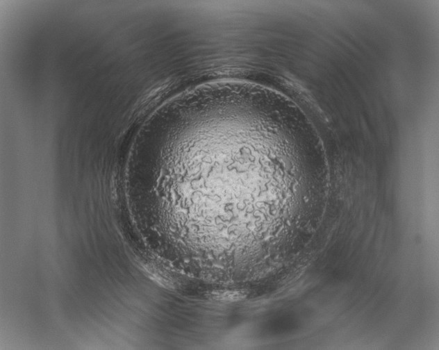 X0000058110161200509231035
