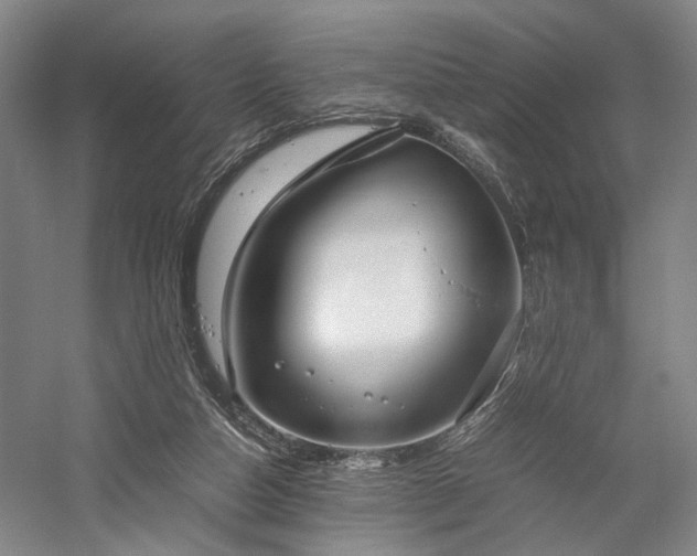 X0000058110162200509231035