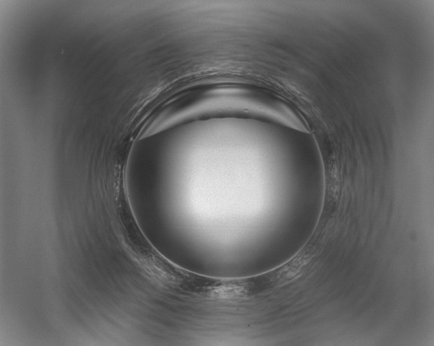 X0000058110168200509231035