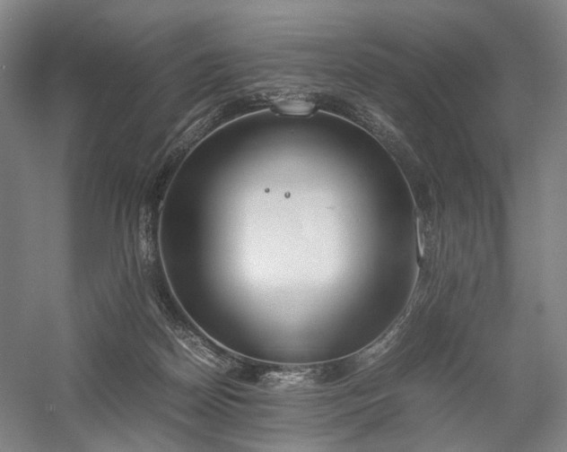 X0000058110170200509231035