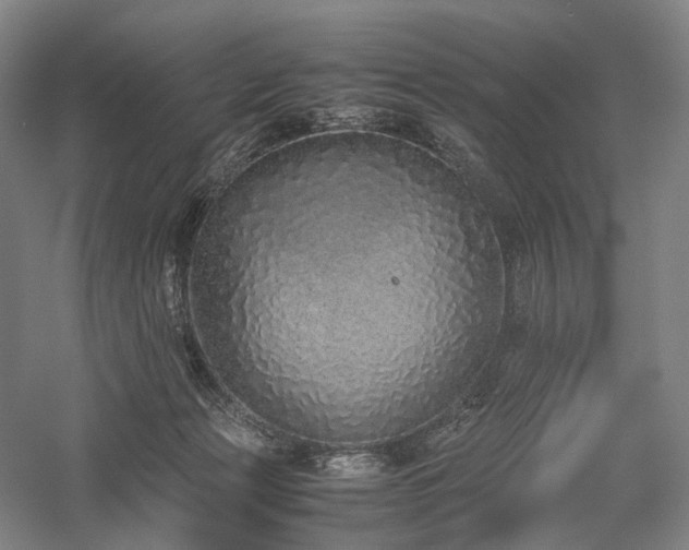 X0000058110173200509231035