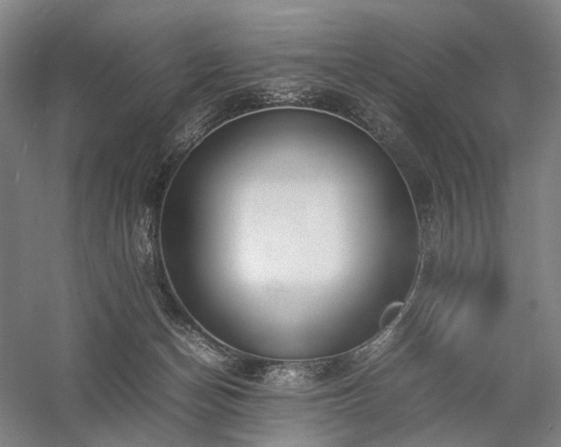 X0000058110174200509231035